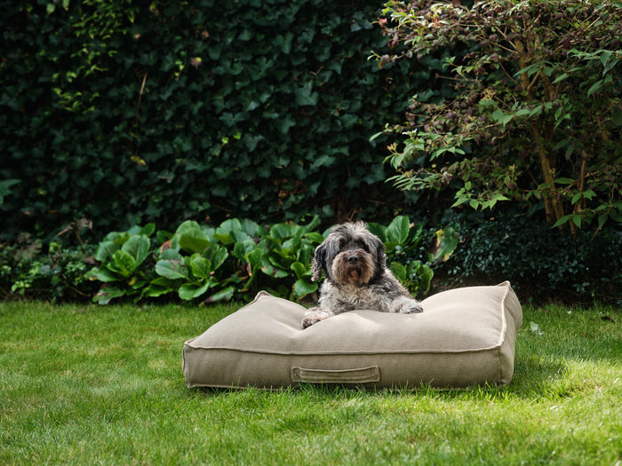 313c6a36-2974-4ab5-a0eb-1bd4e03c2ac1-afbeelding6.jpg (9229179) 