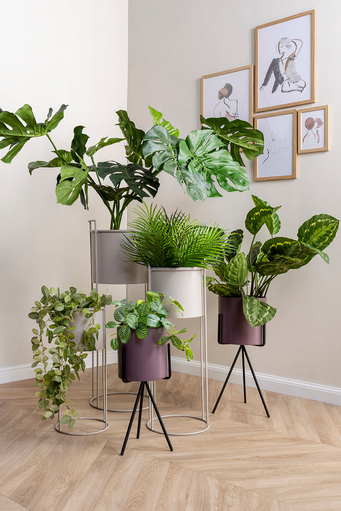 present time - Plant pot set Essence straight iron black