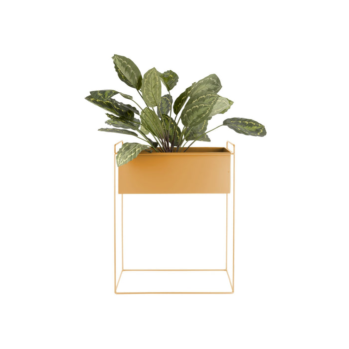 present time - Plant Pot Set Essence Straight