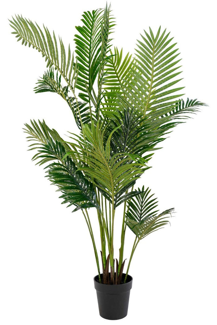 House Nordic Arecapalm Kunstplant H175 cm