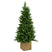Norfolk kunst (tafel)kerstboom - 137 cm - groen - Ø 97 cm - 903 tips