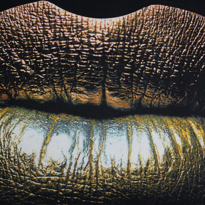 344d5d16-8200-44e5-98d2-e88b0c20dcad-afbeelding5.jpg (9260611) 