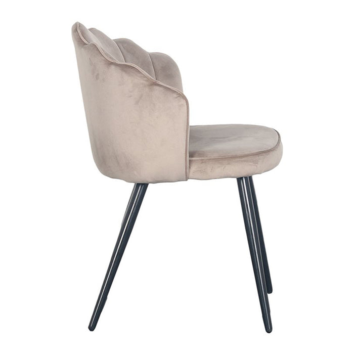 2_101160318-x21-202410111221-C.jpg (9278517) 