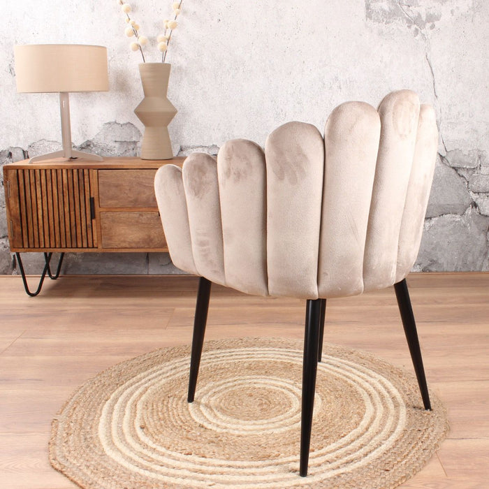 e8e6b256-2682-49c2-b8fa-8bdbe01da89b-afbeelding5.jpg (9283395) 