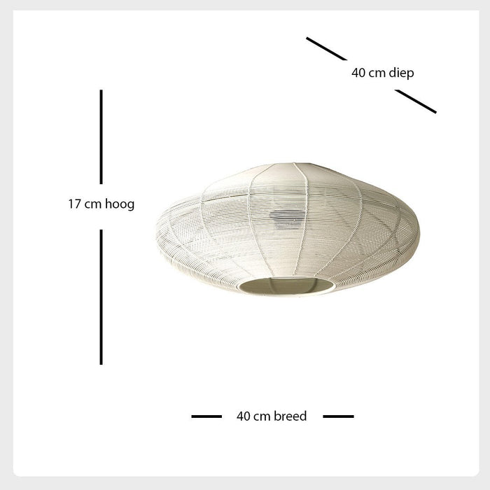 edb0e146-ad8a-4523-8f92-4c7c23caf792-afbeelding8.jpg (9319382) 