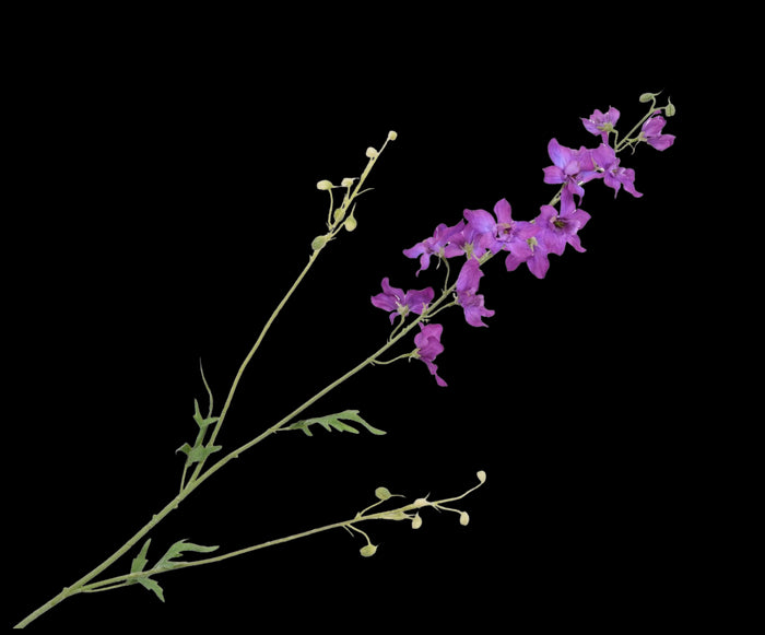 3658bc9a-5bfe-4e47-befb-f546475f25dd-vrijstaandbeeld.jpg (9331291) 