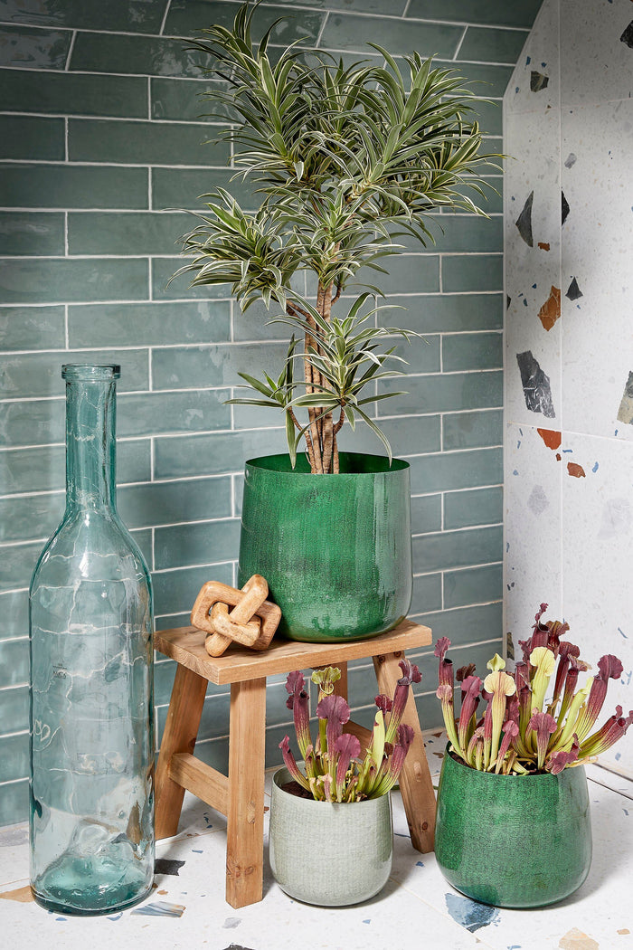 b37f0716-bbd7-49ce-9cb7-b2a30bacc03c-afbeelding7.jpg (9334600) 