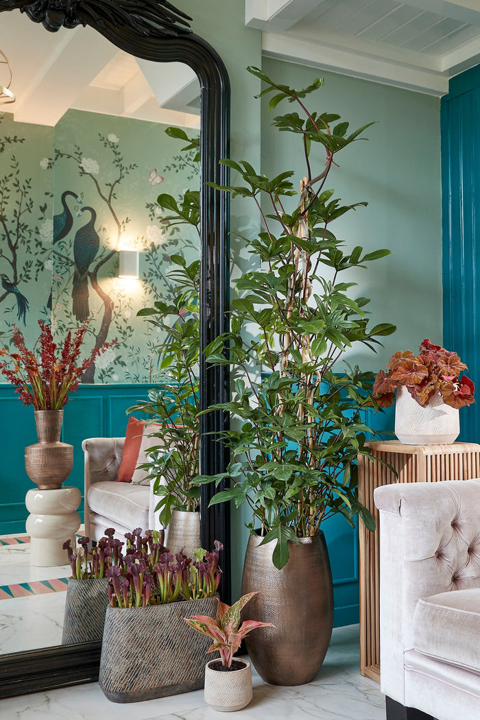 Mica Decorations Yonker Plantentafel - Set van 2 - Bruin