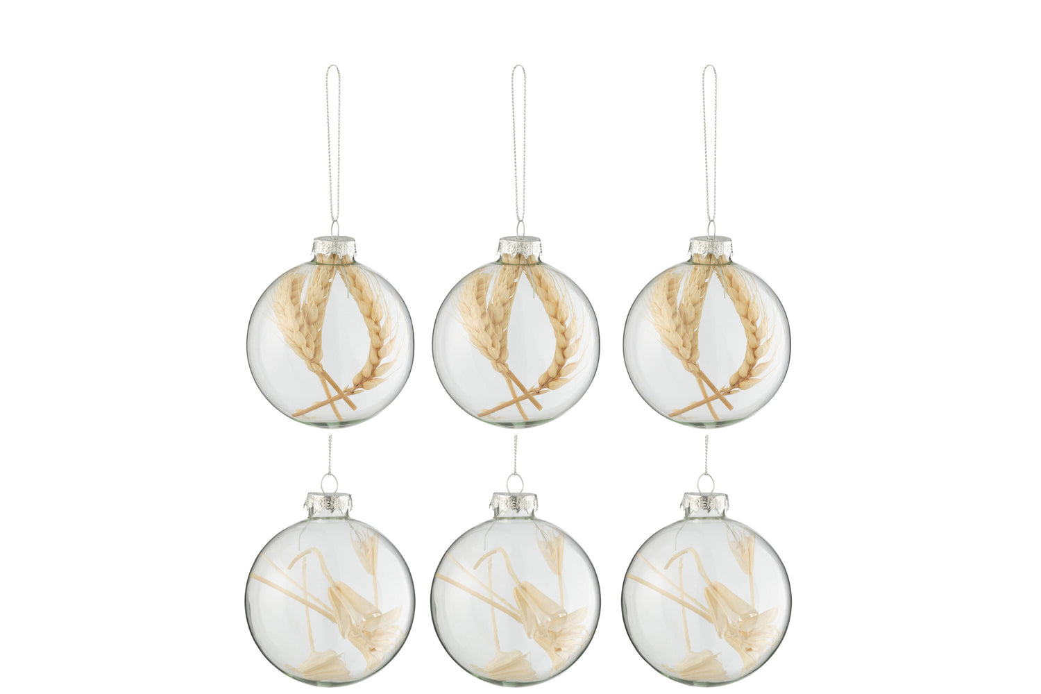 J-Line kerstbal Gedroogde Takjes - glas - transparant|beige - small - doos van 6