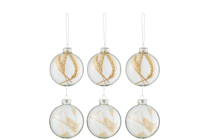 J-Line kerstbal Gedroogde Takjes - glas - transparant|beige - small - doos van 6