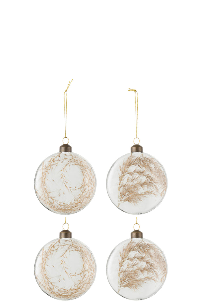 J-Line kerstbal Gedroogde Pampas - glas - transparant - medi