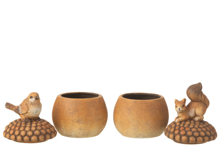 J-Line kerstbal Geribbeld|Ruit - glas - rood - large - doos van 4