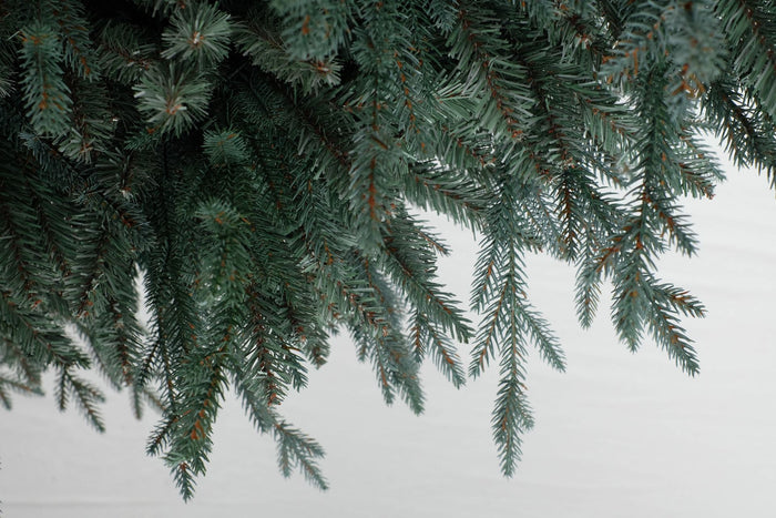 Arkansas Frosted Blue kunstkerstboom - 152 cm - Blauw - Ø114 cm - 1668