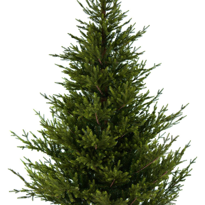 Sami Mountain Spruce Wood kunstkerstboom - 213 cm - Donkergroen - Ø142