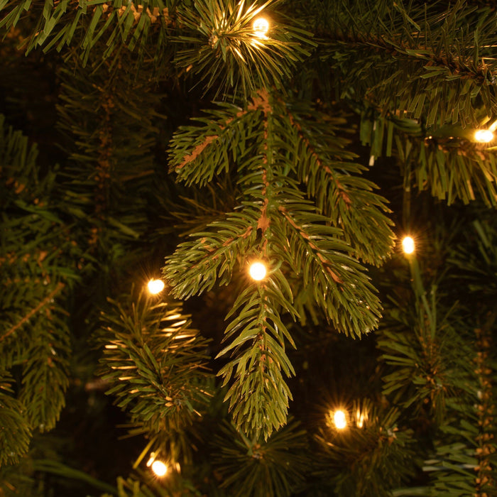 Black Box Trees Harma Kunstkerstboom met Verlichting - H215 x Ø66 cm