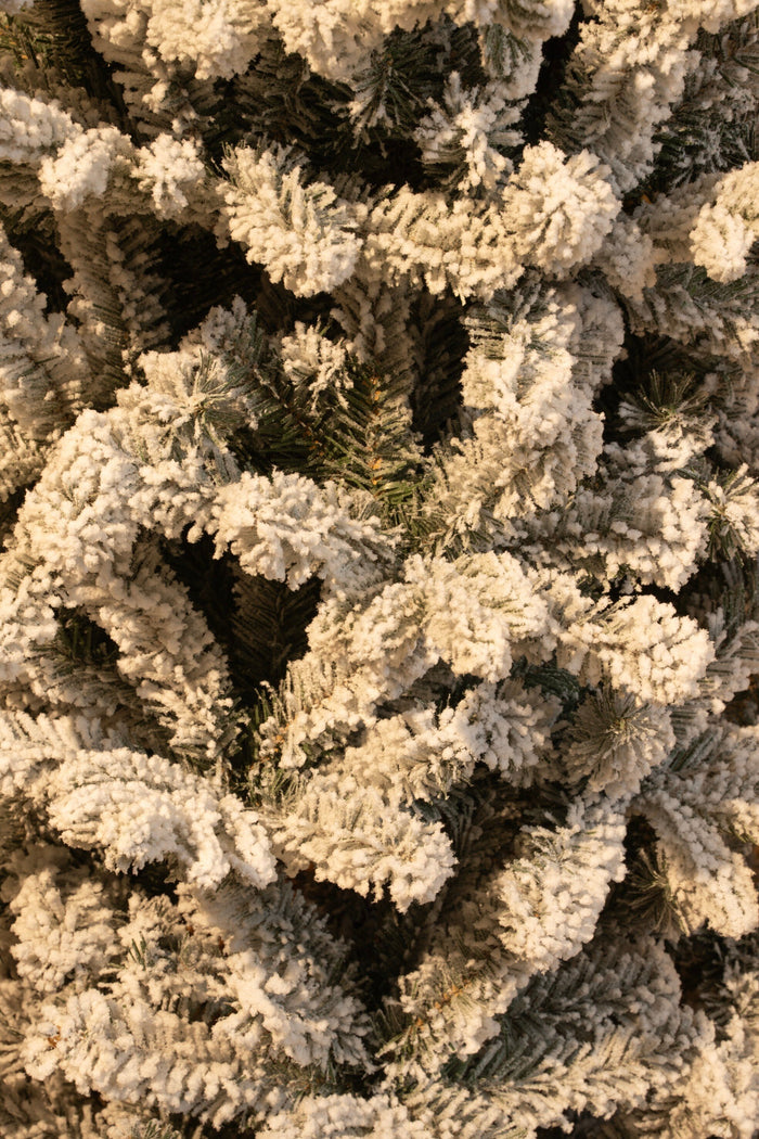 Black Box Trees Harma Kunstkerstboom - H215 x Ø66 cm - Groen Frosted