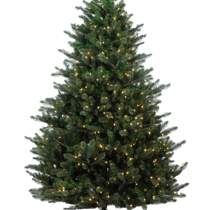 Kentucky Deluxe verlichte kunstkerstboom - 228 cm - Donkergroen - Ø145
