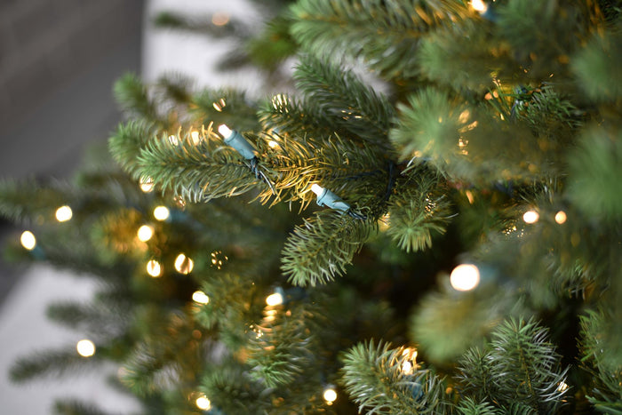 Kentucky Deluxe verlichte kunstkerstboom - 228 cm - Donkergroen - Ø145