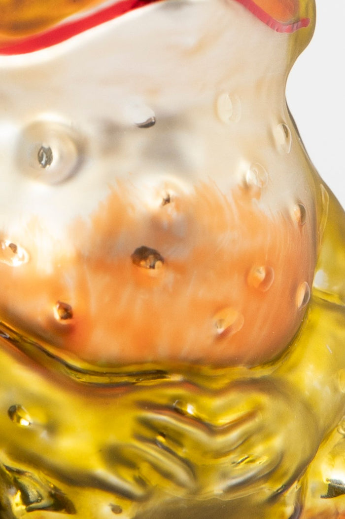 Sissy-Boy Kerst ornament kikker