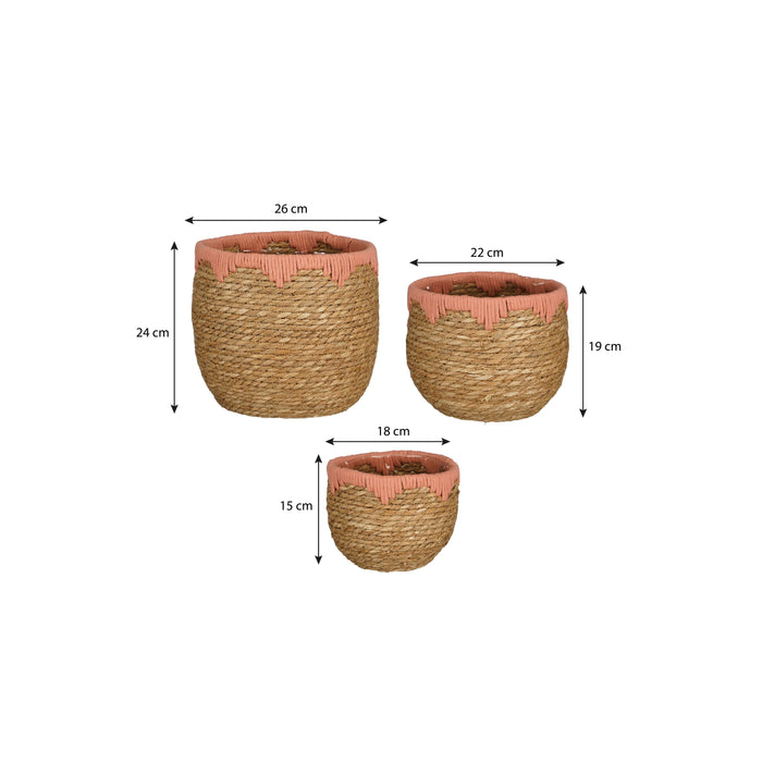 8f870dd7-d0ef-4fdc-abfb-2e50cd76d0e5-afbeelding10.jpg (9503383) 