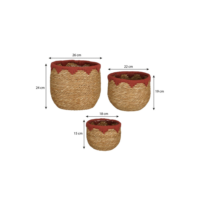 36c2e620-822c-4299-ac18-eb2ee2418239-afbeelding10.jpg (9503434) 