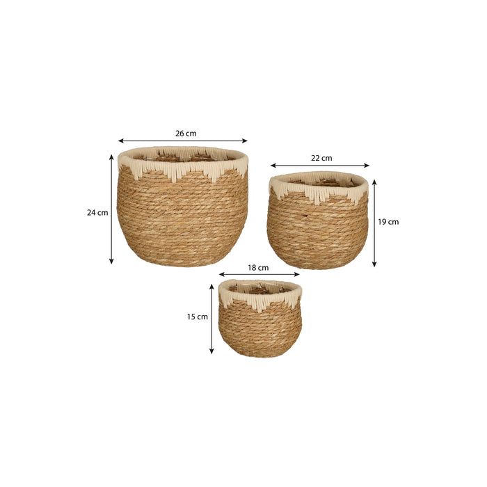 e71581f5-8750-4066-b993-87904f6bc815-afbeelding10.jpg (9503487) 