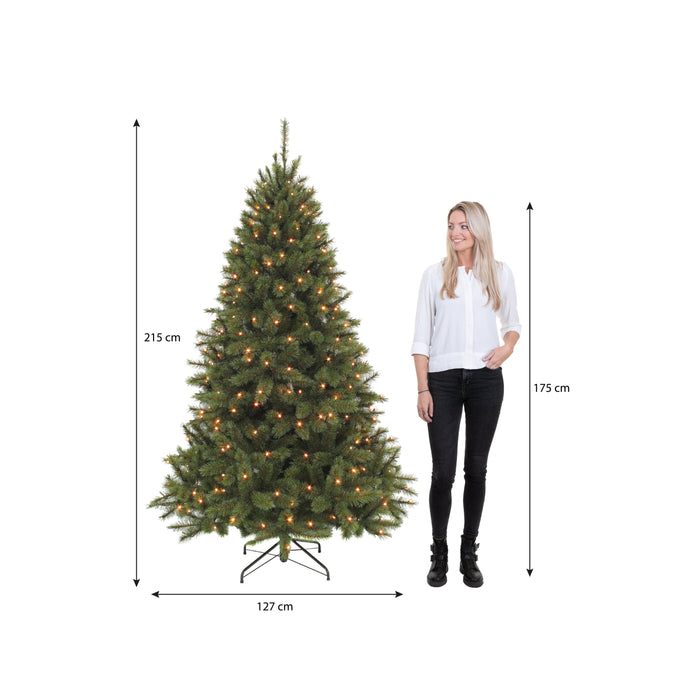 Triumph Tree Bristlecone Kunstkerstboom met Verlichting - H215
