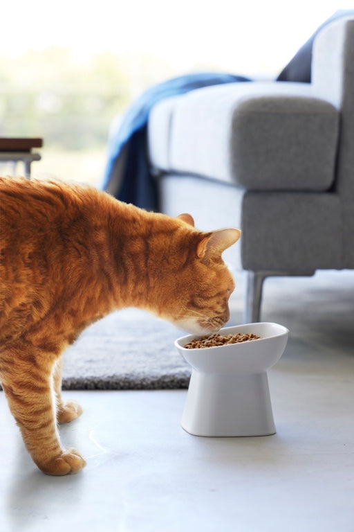 Yamazaki Voerbak Kat | Hond - Schuin - Keramisch - Tower - Wit