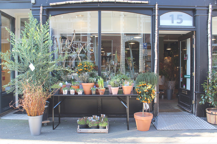 b11e8ba4-1eb9-4b83-afa7-490889a93062-afbeelding8.jpg (9657014) 