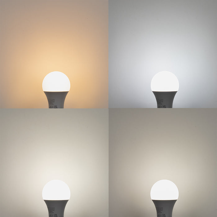 e22e61c9-e980-4c8e-ab0e-1629b04d7c96-afbeelding10.jpg (9665869) 