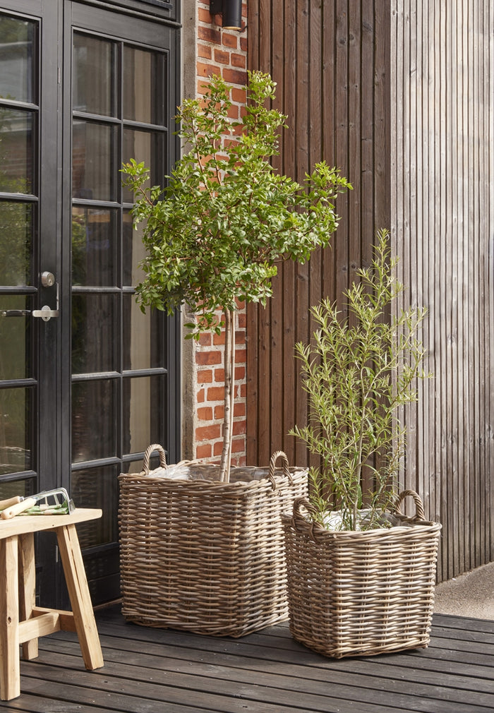 7c6c5cd6-c358-421e-8b0a-7c18da34251a-sfeerbeeld.jpg (9687341) 