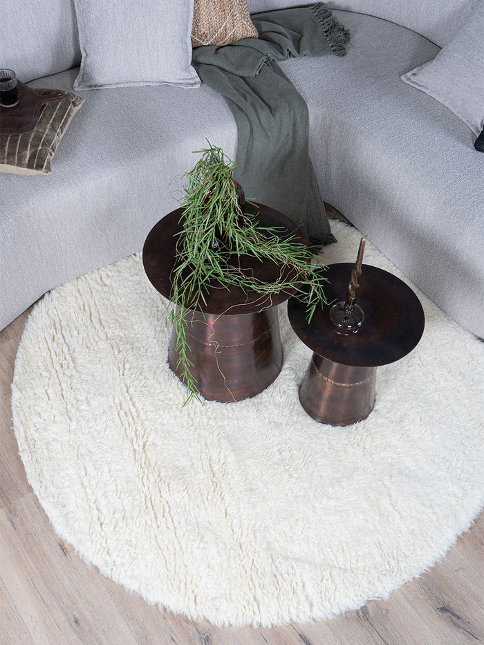 5f914c11-9711-4811-87f1-f874740ac57d-afbeelding3.jpg (9688254) 