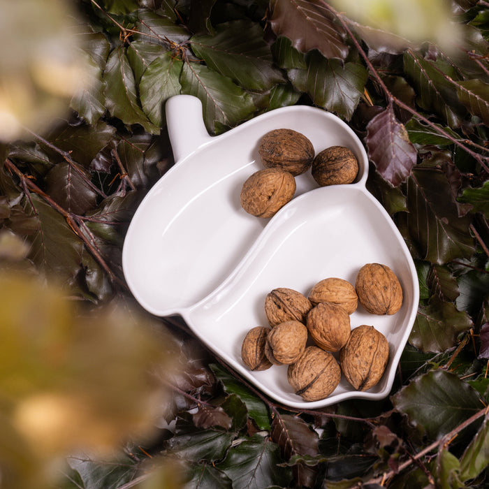 e1b3a0fa-3c5d-4692-9904-dfb1ce7b1554-afbeelding5.jpg (9710331) 