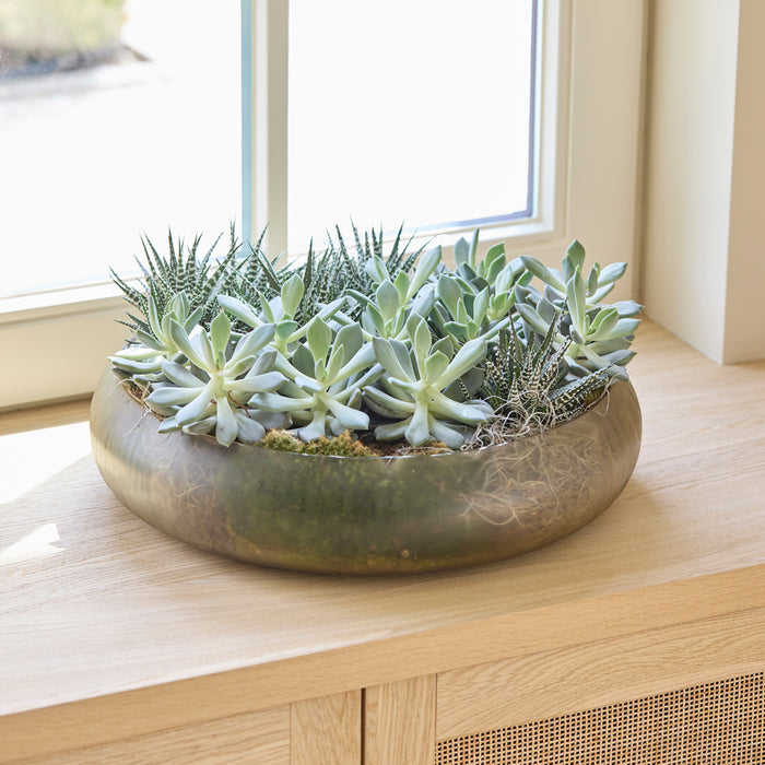 Rivièra Maison Riviera Maison Xiavieria Decoration Bowl