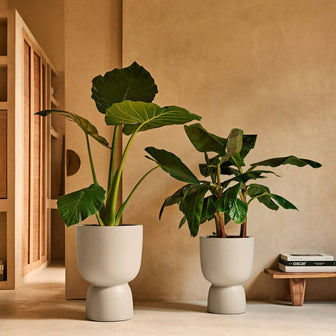 327626-x01-202412190541-A.jpg (9713825) 