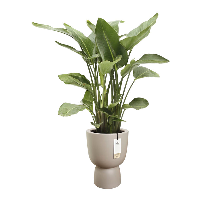 327626-x03-202412190541-C.jpg (9713827) 