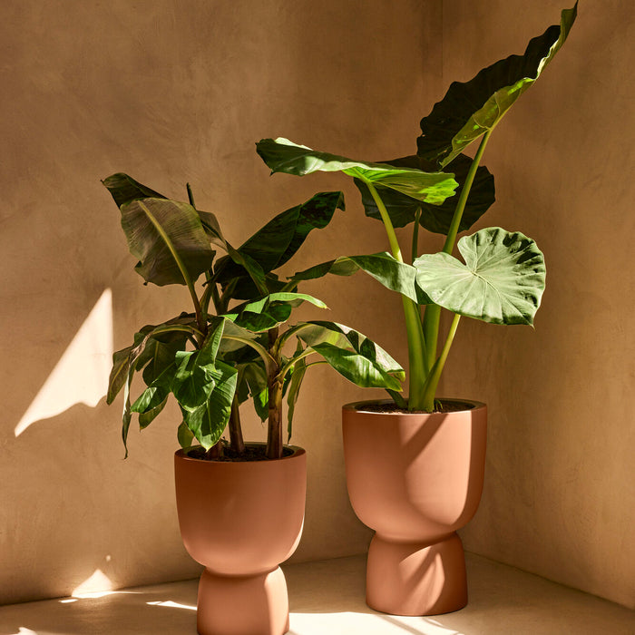 327627-x01-202412190541-A.jpg (9713828) 