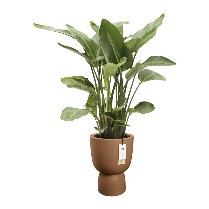 327627-x03-202412190540-C.jpg (9713830) 