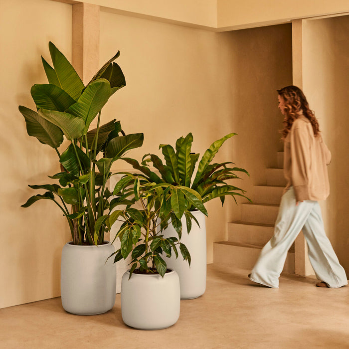 327628-x01-202412190541-A.jpg (9713834) 