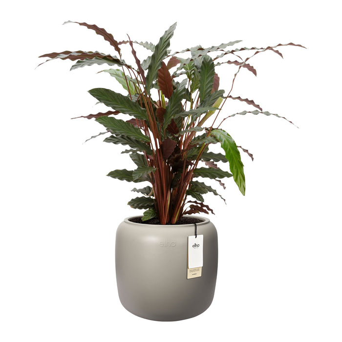 327629-x02-202412190540-C.jpg (9713837) 