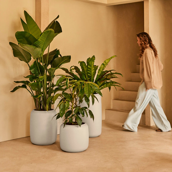 327630-x01-202412190541-A.jpg (9713839) 