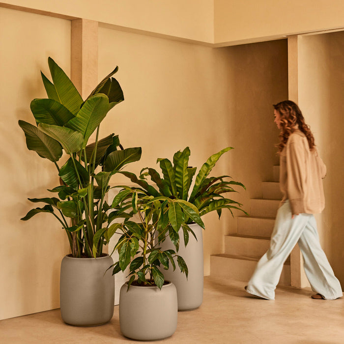 327631-x01-202412190540-A.jpg (9713841) 