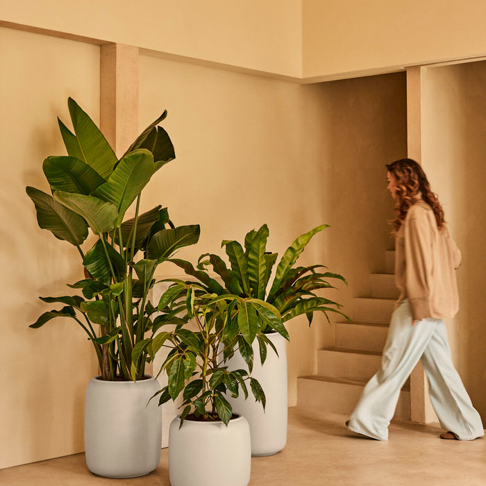 327632-x01-202412190542-A.jpg (9713845) 