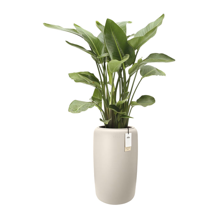 327632-x02-202412190540-C.jpg (9713846) 