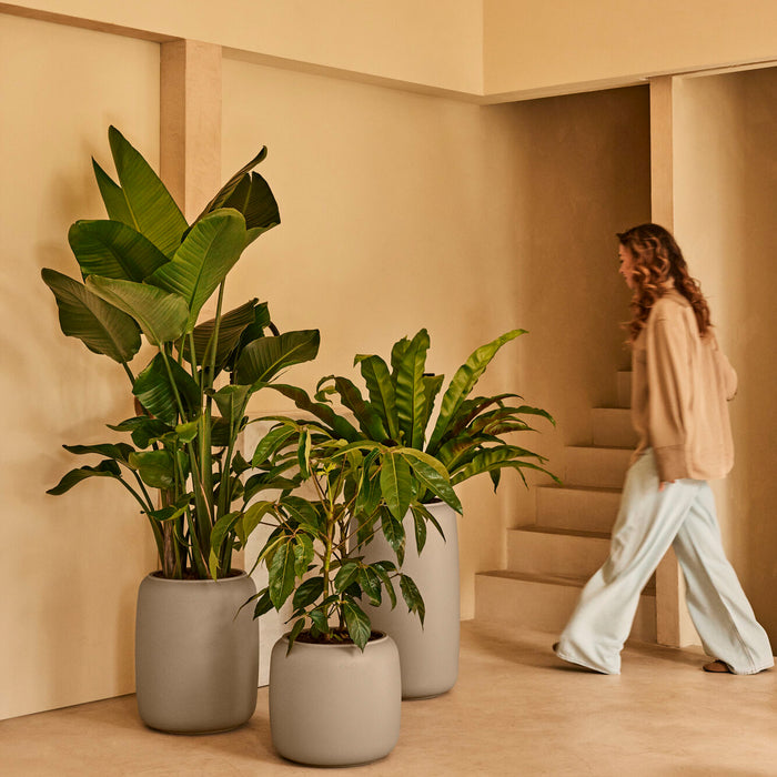 327633-x01-202412190541-A.jpg (9713847) 