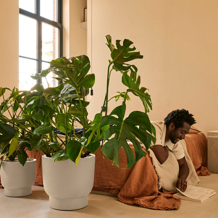 327637-x01-202412190540-A.jpg (9713860) 