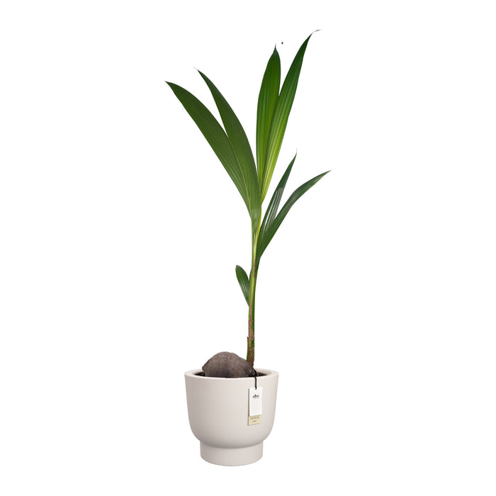 327637-x02-202412190540-C.jpg (9713861) 