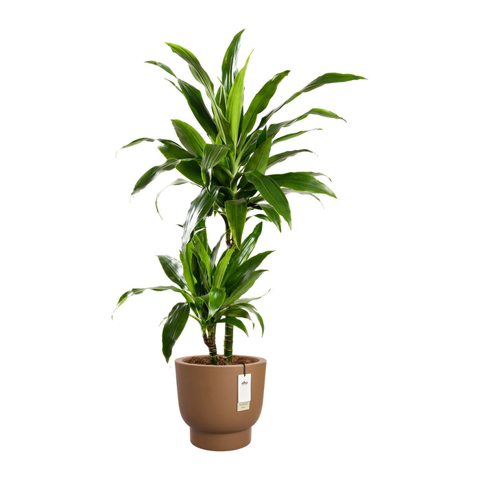 327639-x02-202412190541-C.jpg (9713871) 