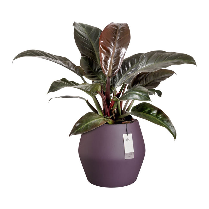 327641-x02-202412190541-C.jpg (9713880) 