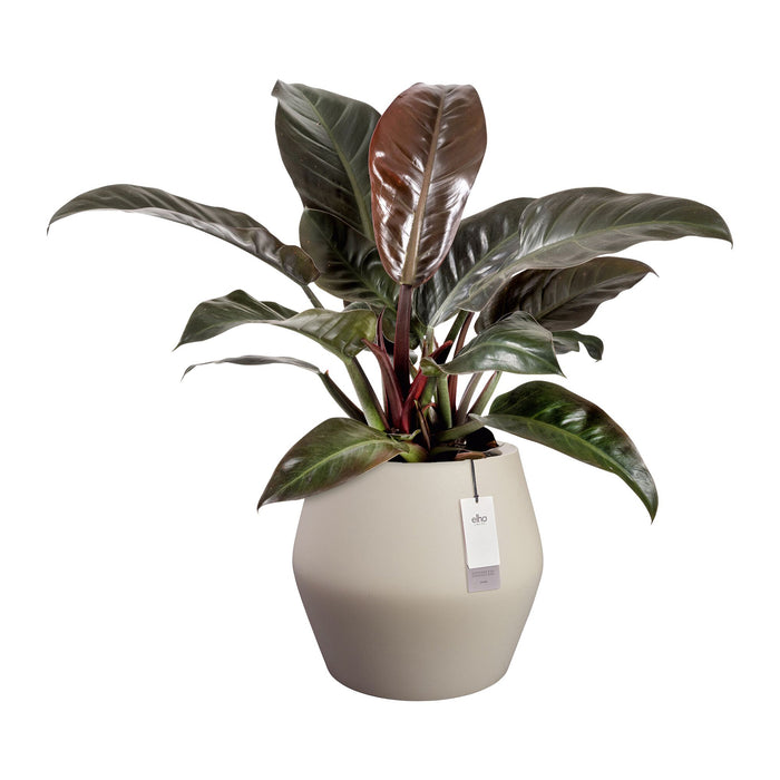 327642-x02-202412190541-C.jpg (9713884) 